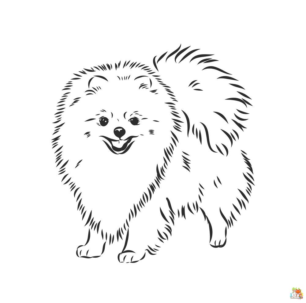 Pomeranian and Chihuahua Coloring Pages 12