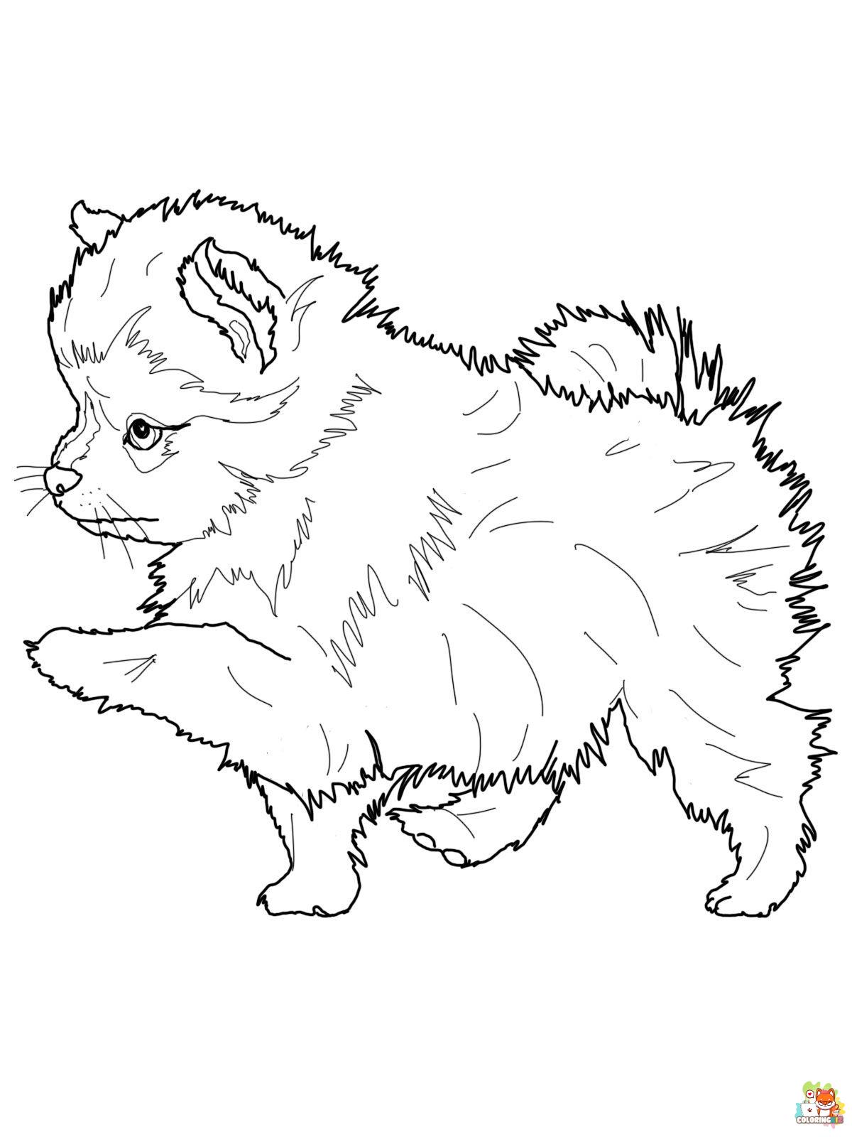 Pomeranian and Chihuahua Coloring Pages 9