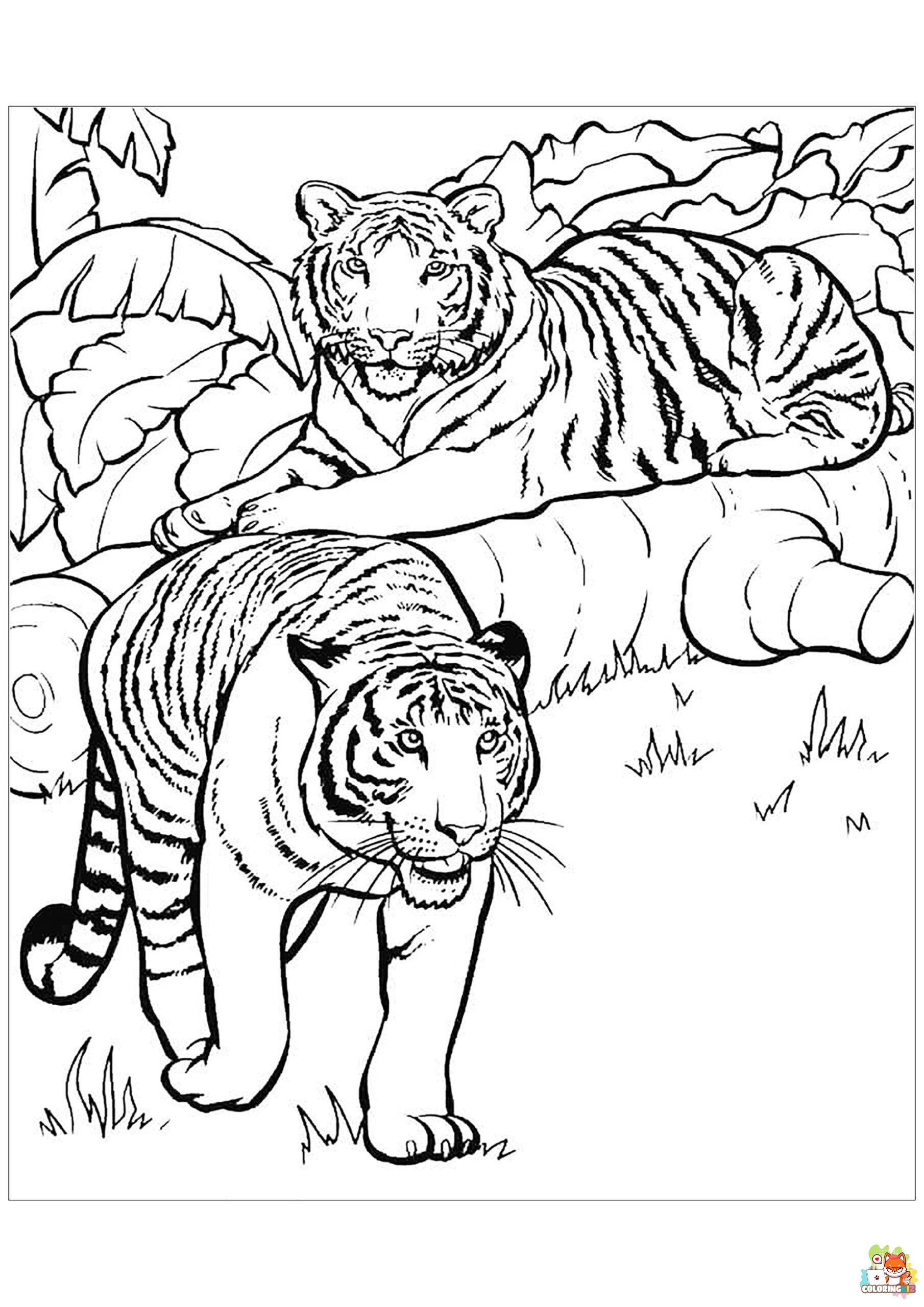 Realistic Tiger Coloring Pages 1