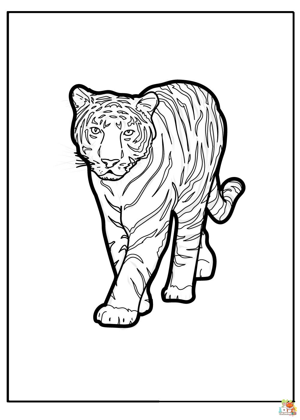 Realistic Tiger Coloring Pages 3 1