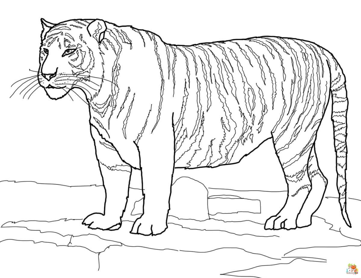 Realistic Tiger Coloring Pages 6