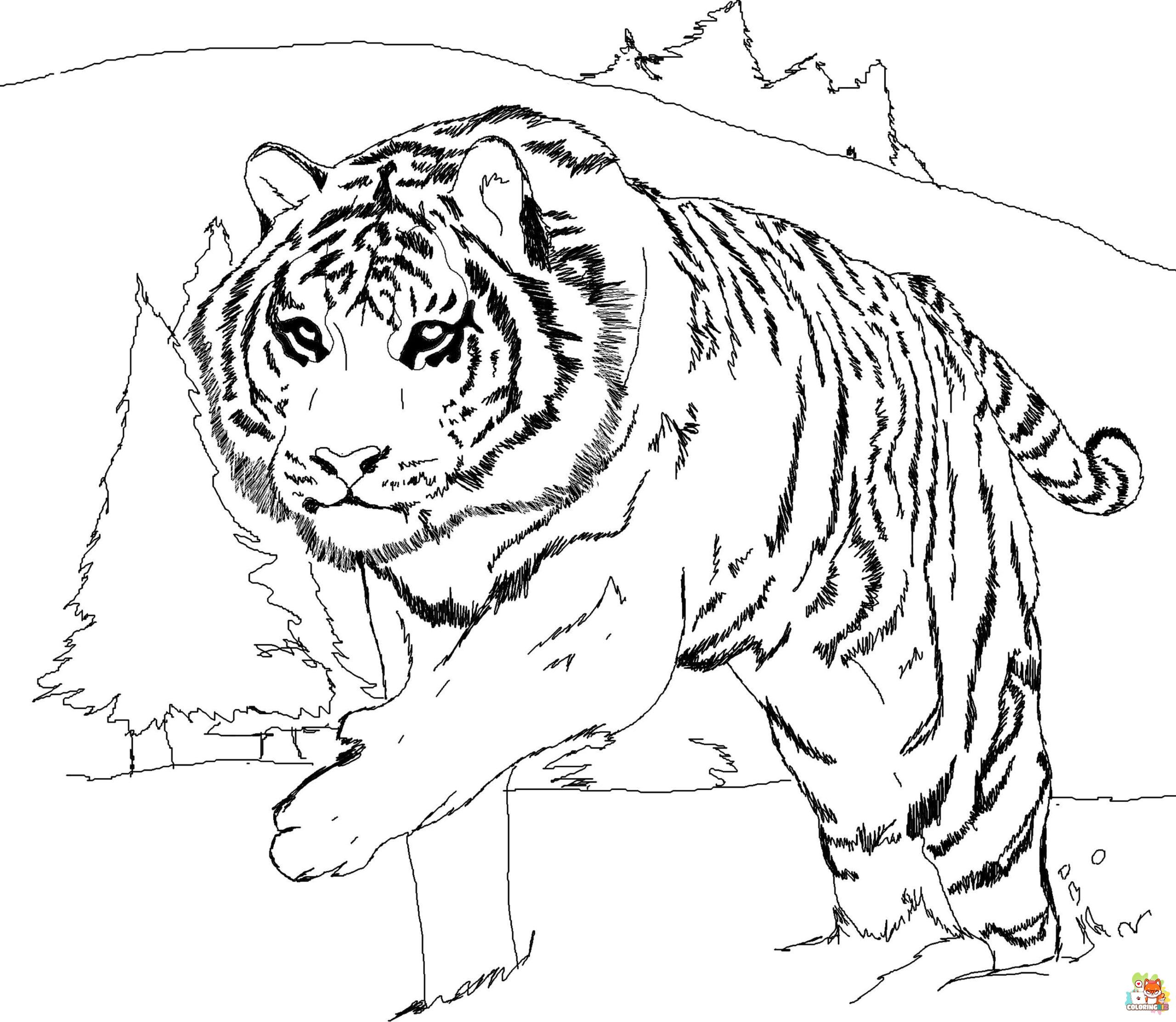 Realistic Tiger Coloring Pages 7