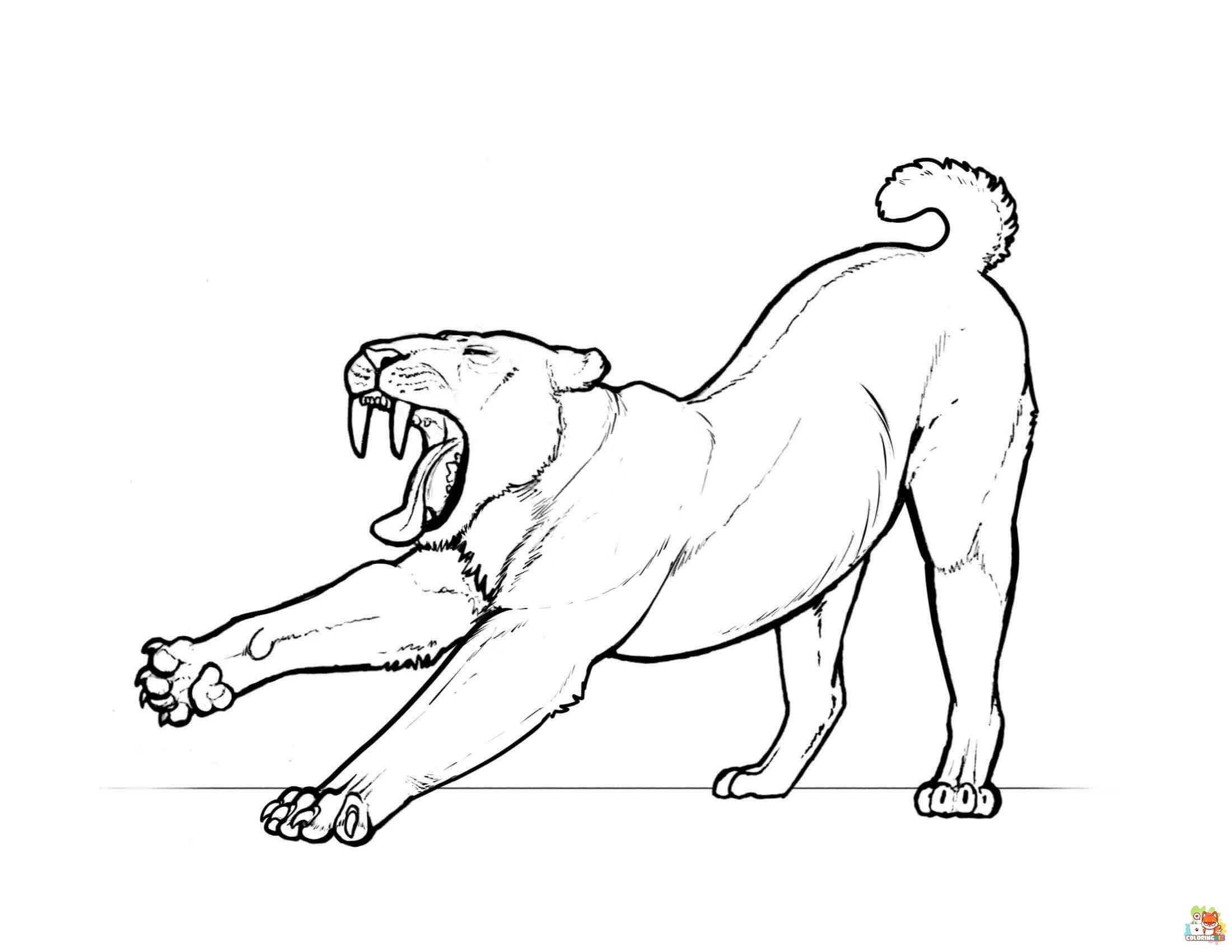 Saber Tooth Tiger Coloring Pages 3