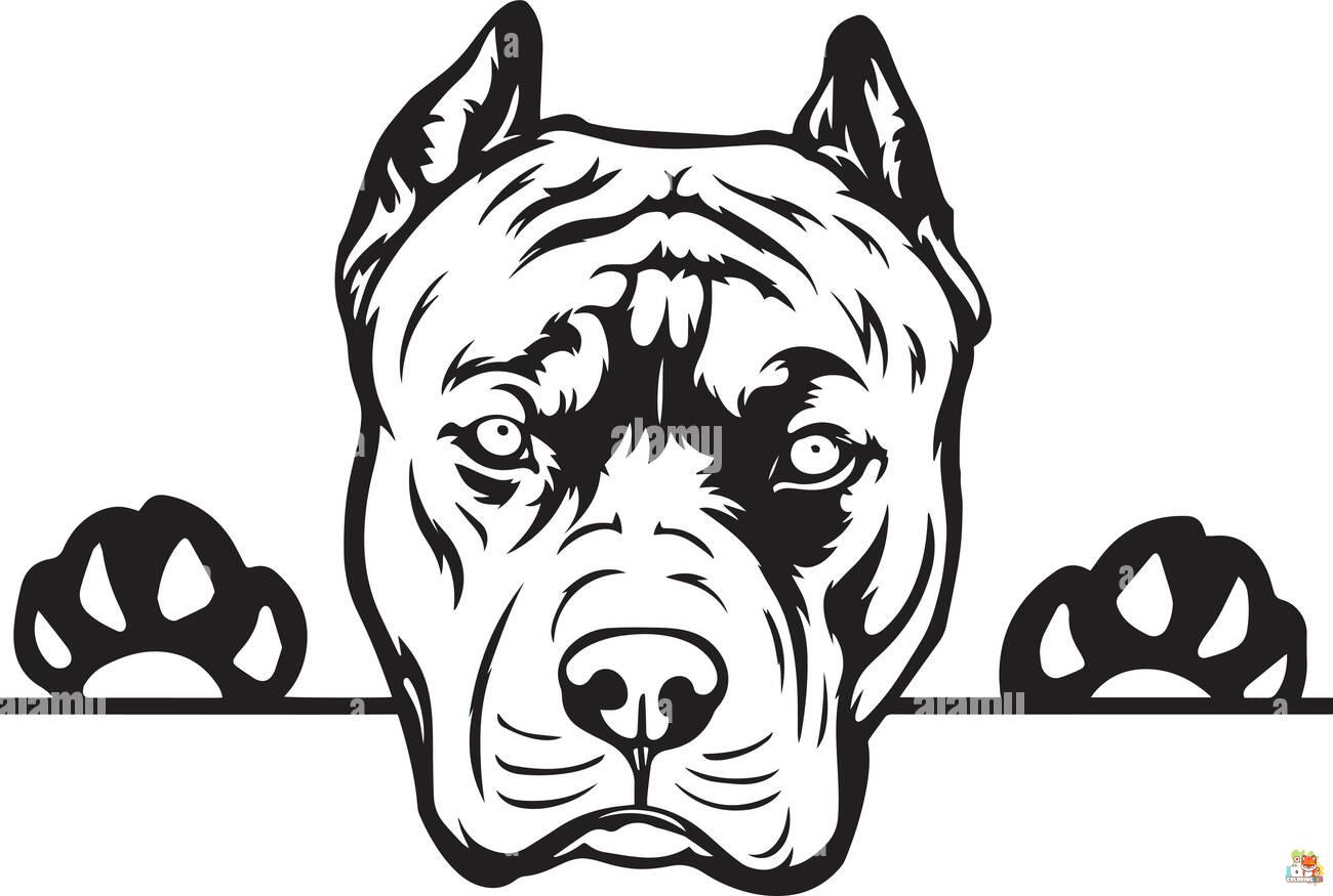 Scary Pitbull Coloring Pages 7