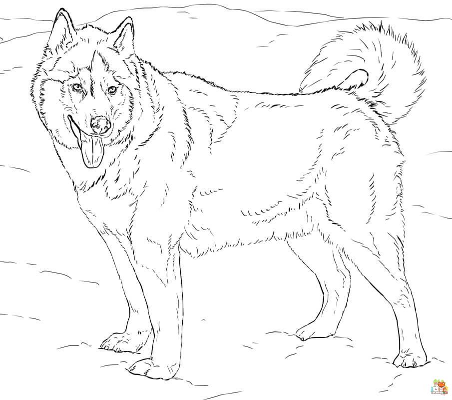 Standing Siberian Husky Coloring Pages 1