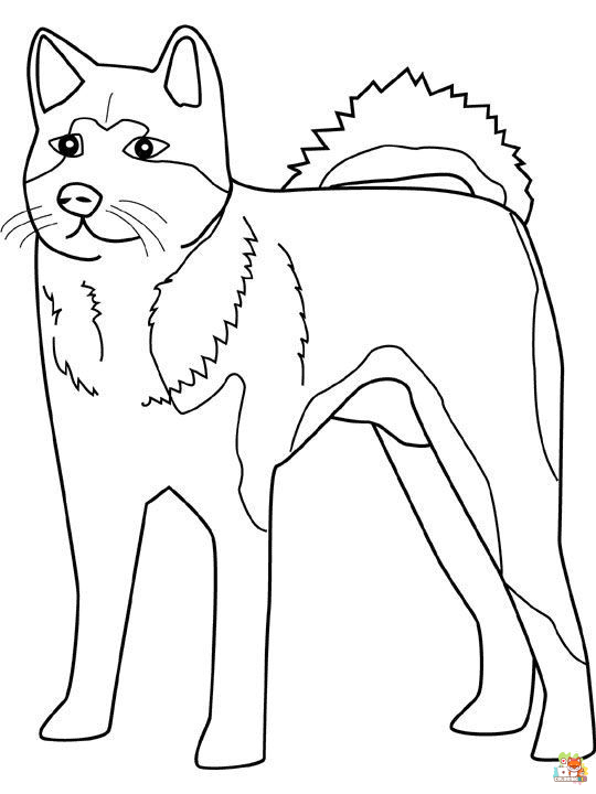 Standing Siberian Husky Coloring Pages 1