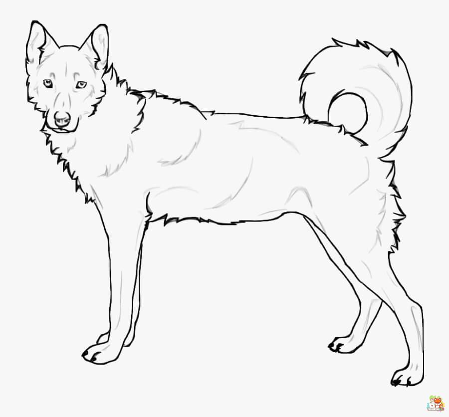 Standing Siberian Husky Coloring Pages 10