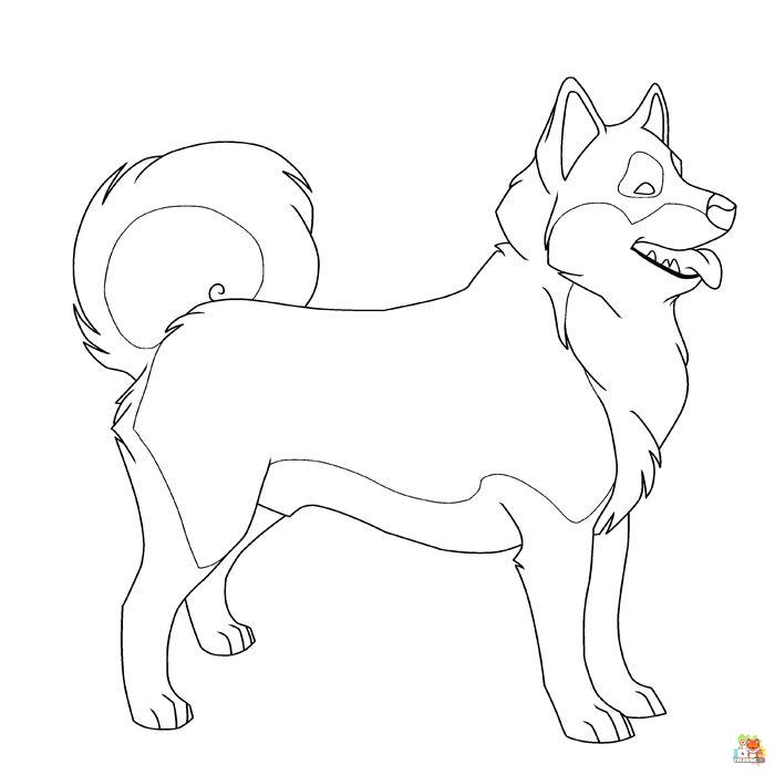 Standing Siberian Husky Coloring Pages 11