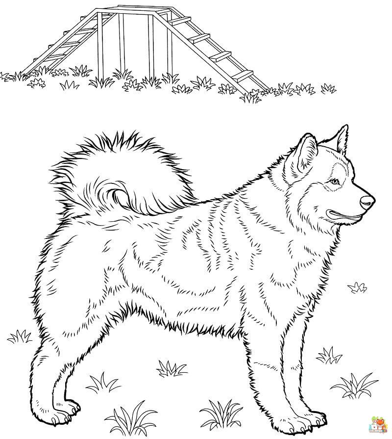 Standing Siberian Husky Coloring Pages 5
