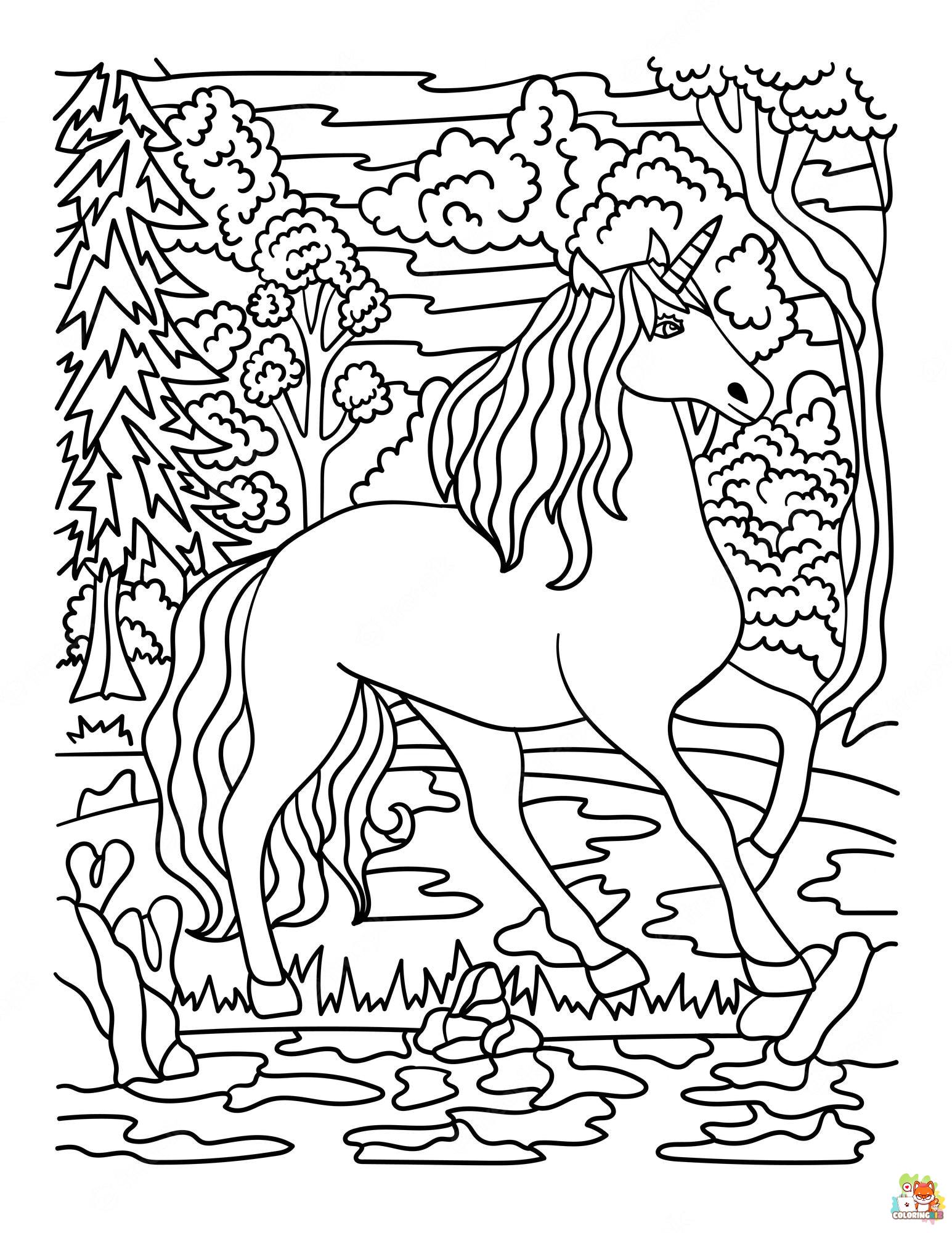 Unicorn In The Forest Coloring Pages 12