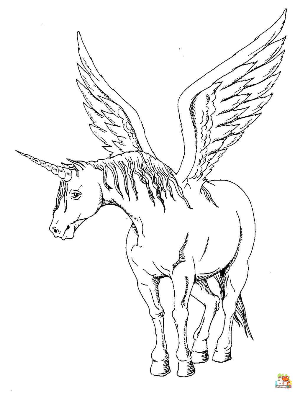 Winged Unicorn Coloring Pages 12