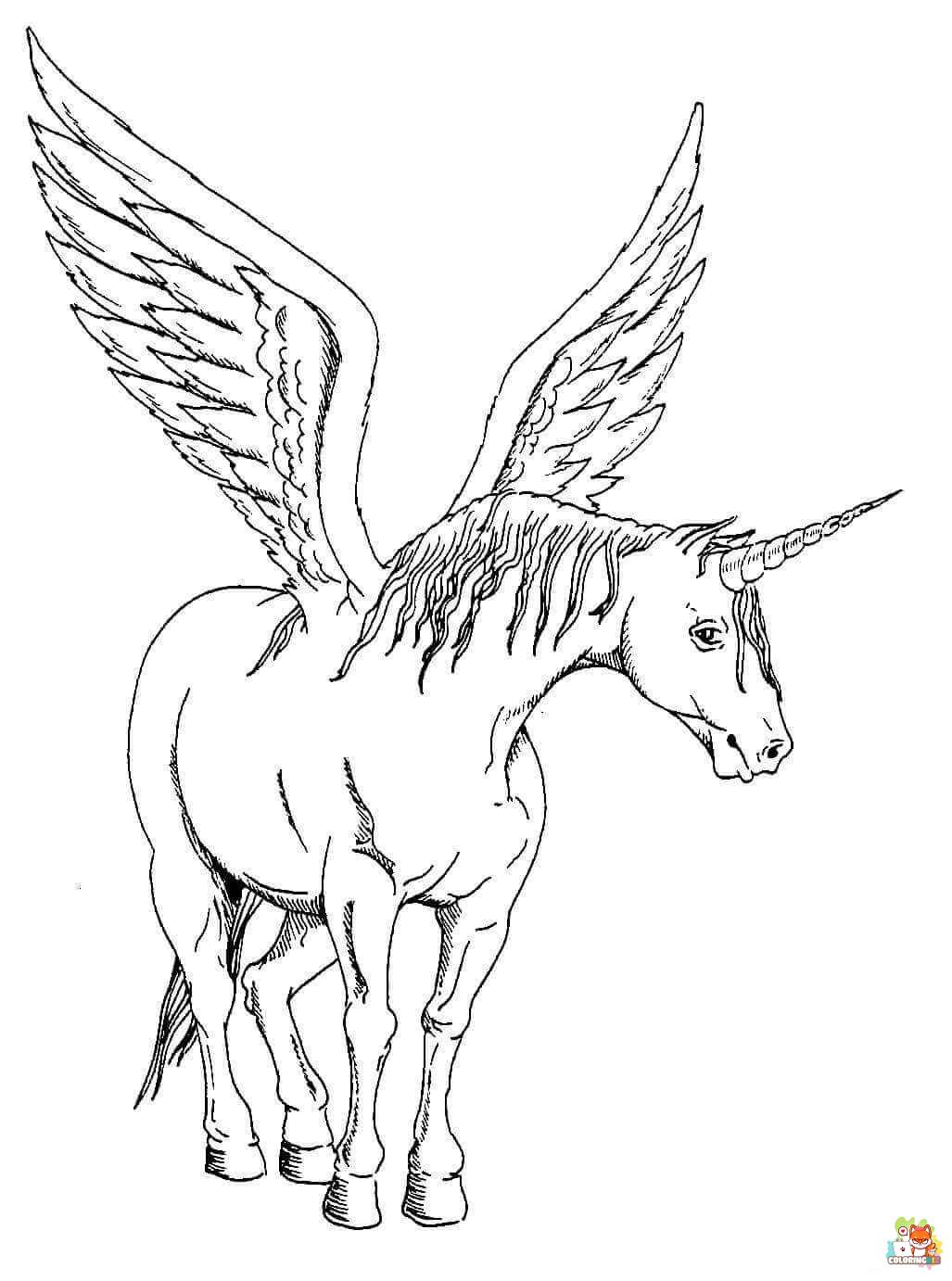 Winged Unicorn Coloring Pages 17