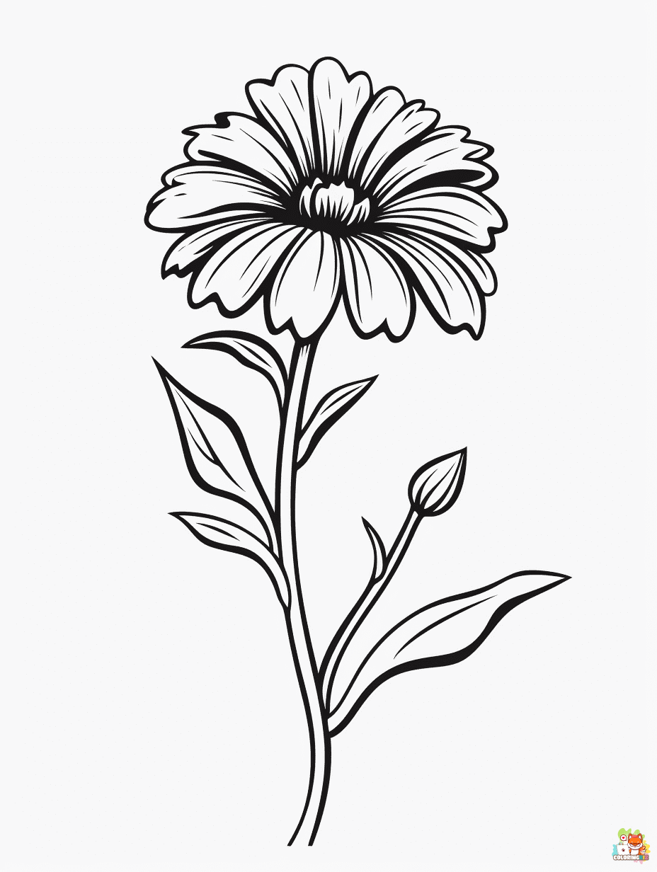 A flower Coloring Pages