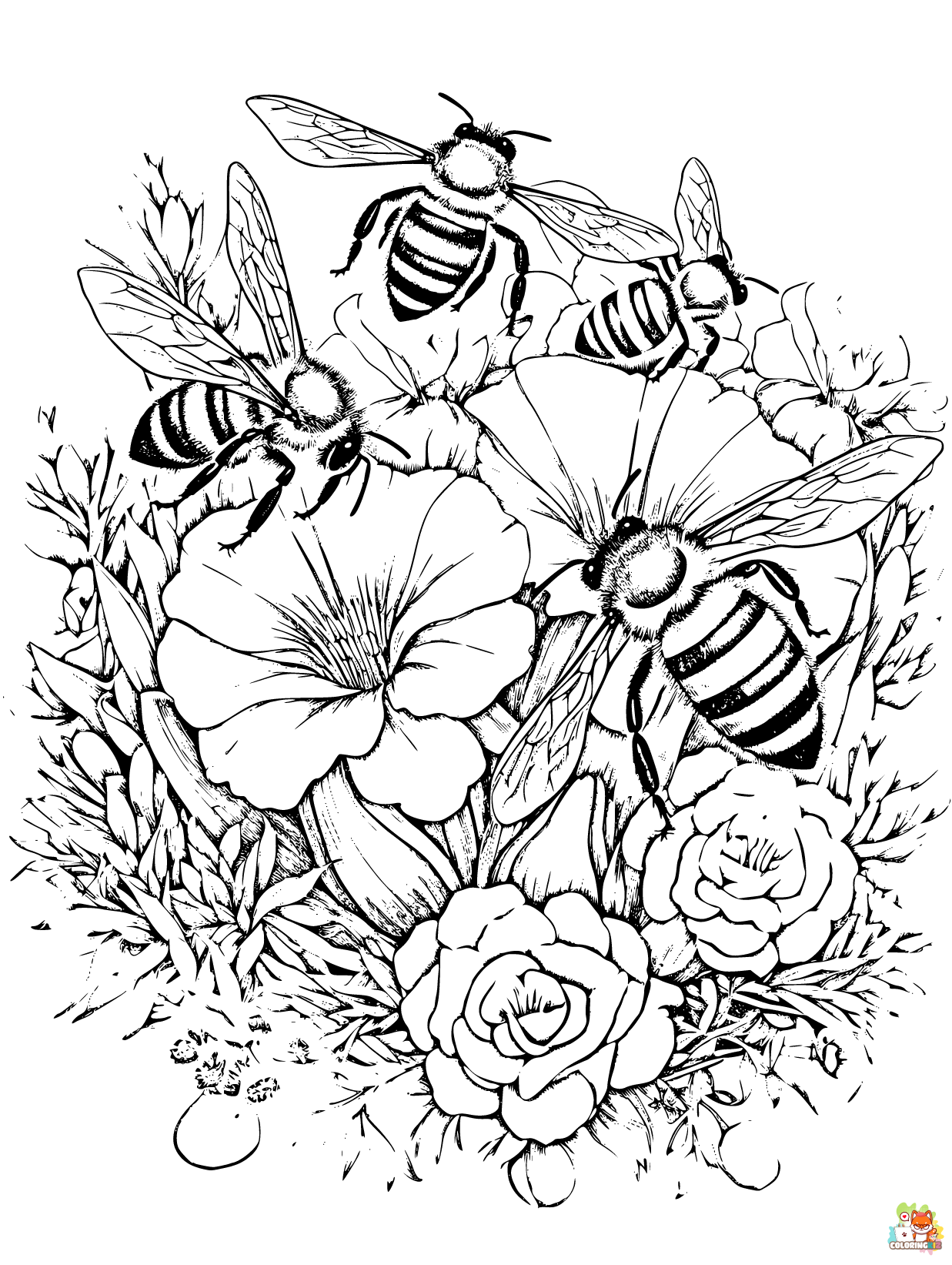 Bee coloring pages 1