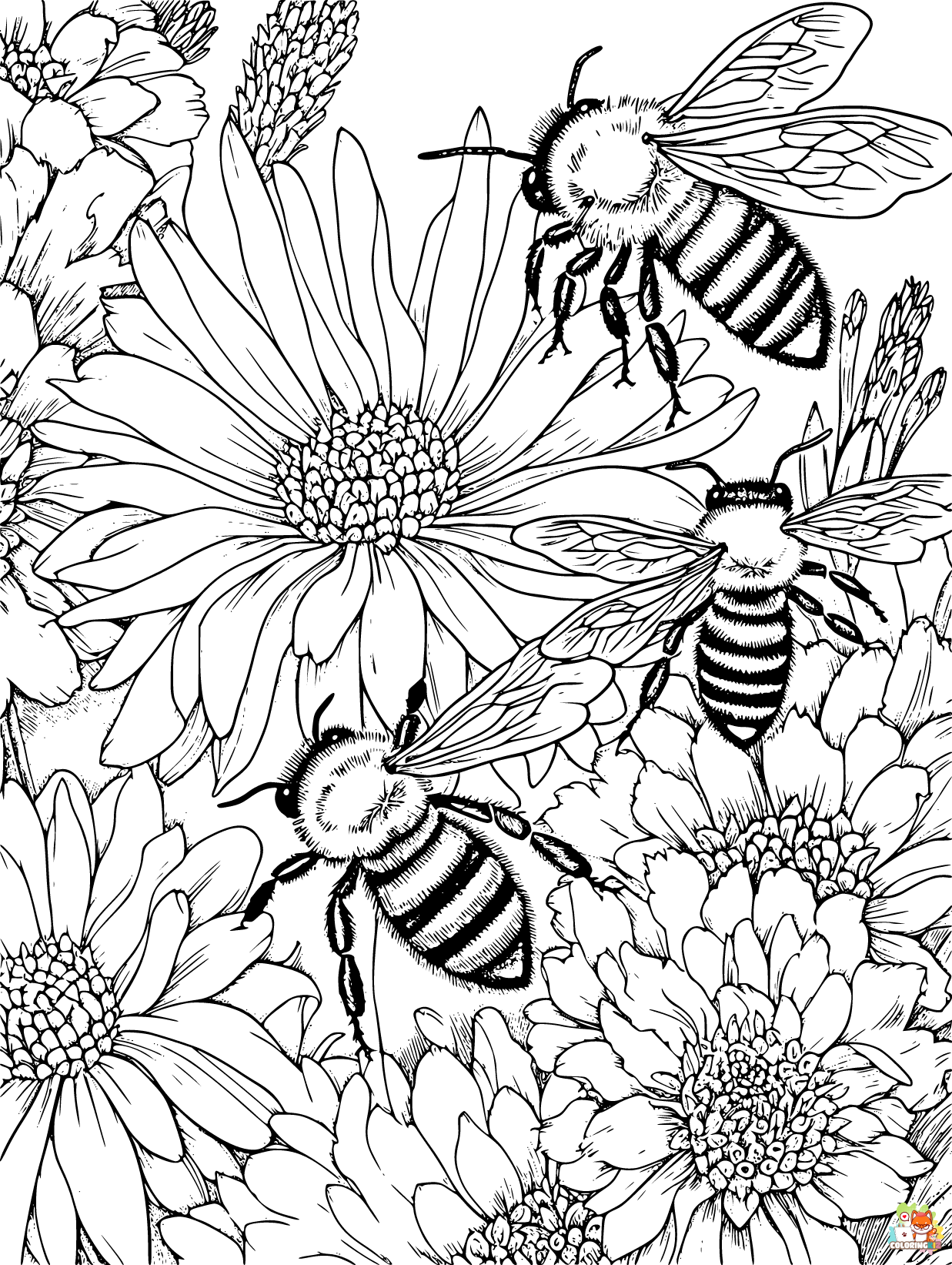 Bee coloring pages printable 2