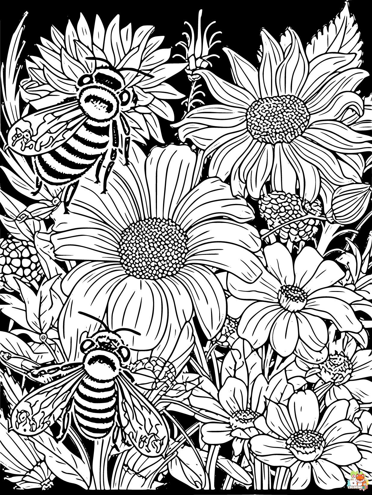 Bee coloring pages printable free