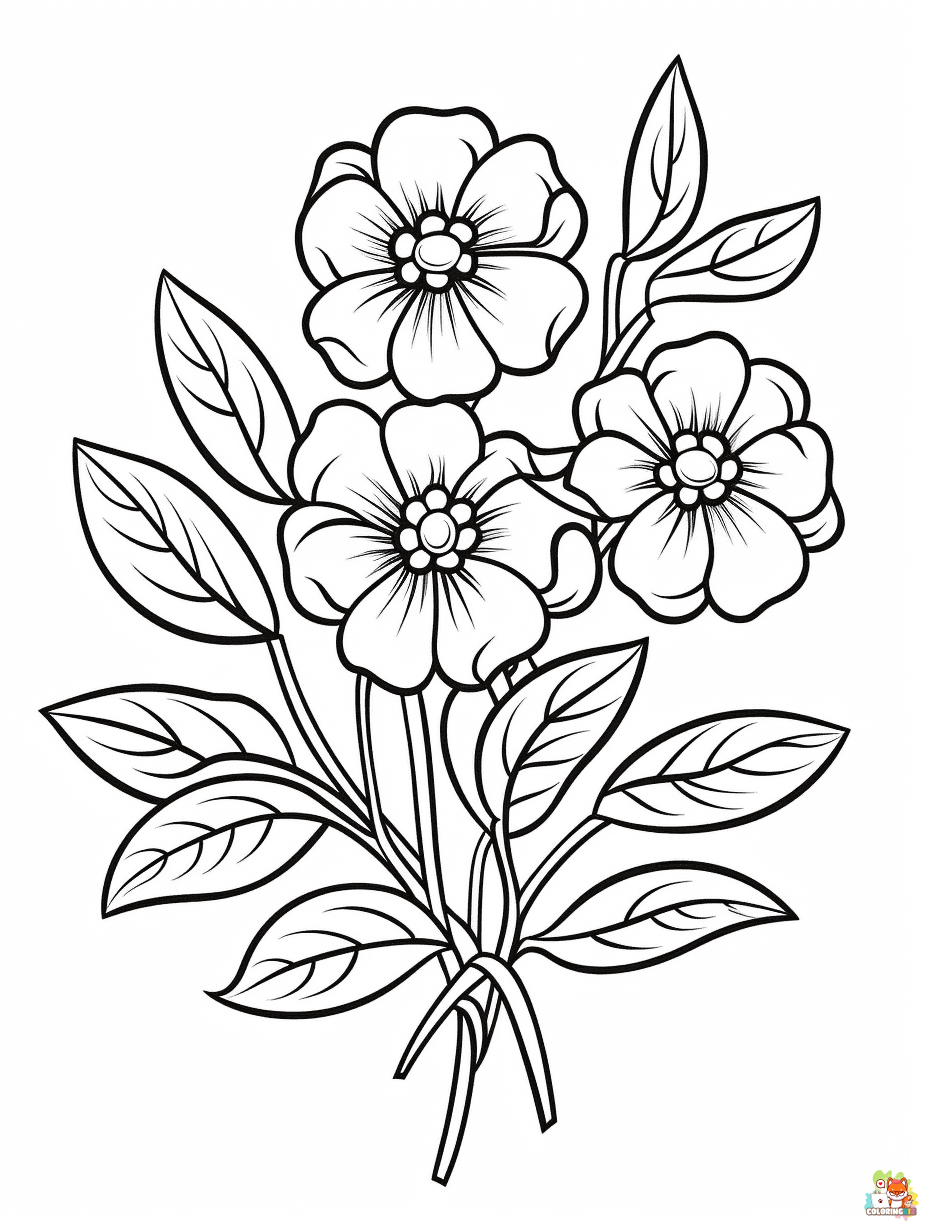 Coloring Pages of a Flower