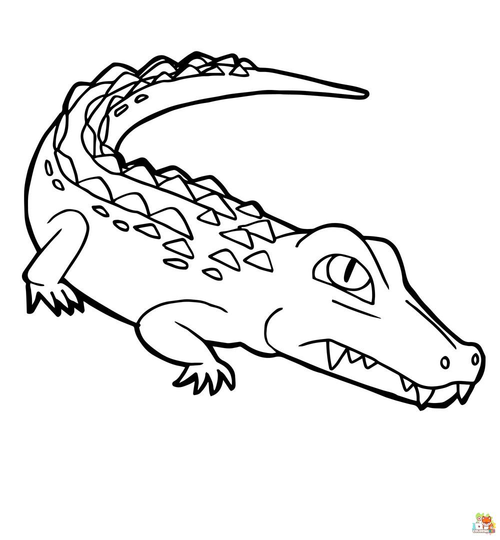 Crocodile Coloring Pages 3