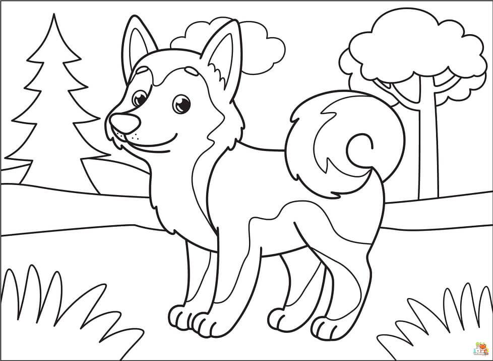 Cute Little Husky Coloring Pages 7