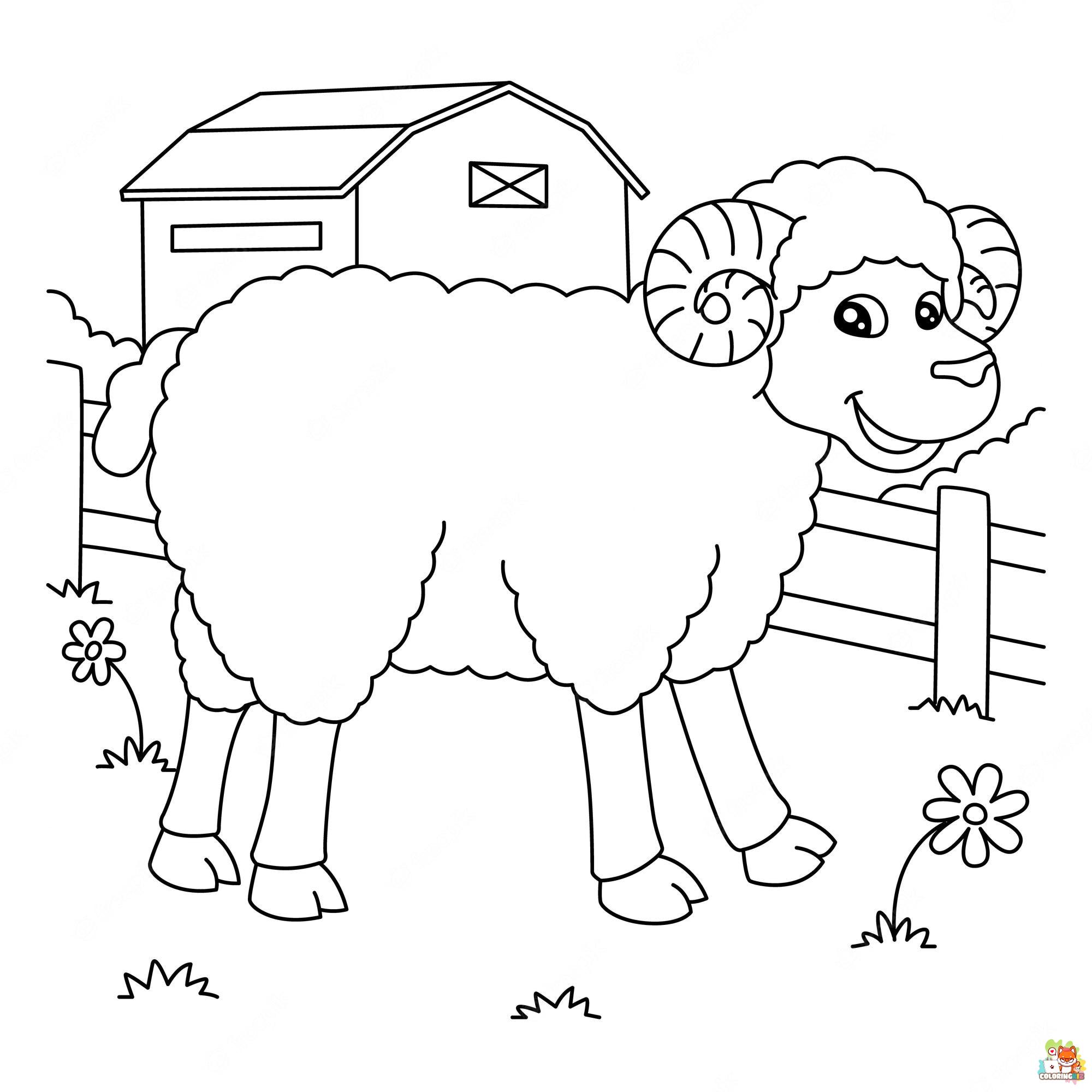 Free Sheep coloring pages for kids