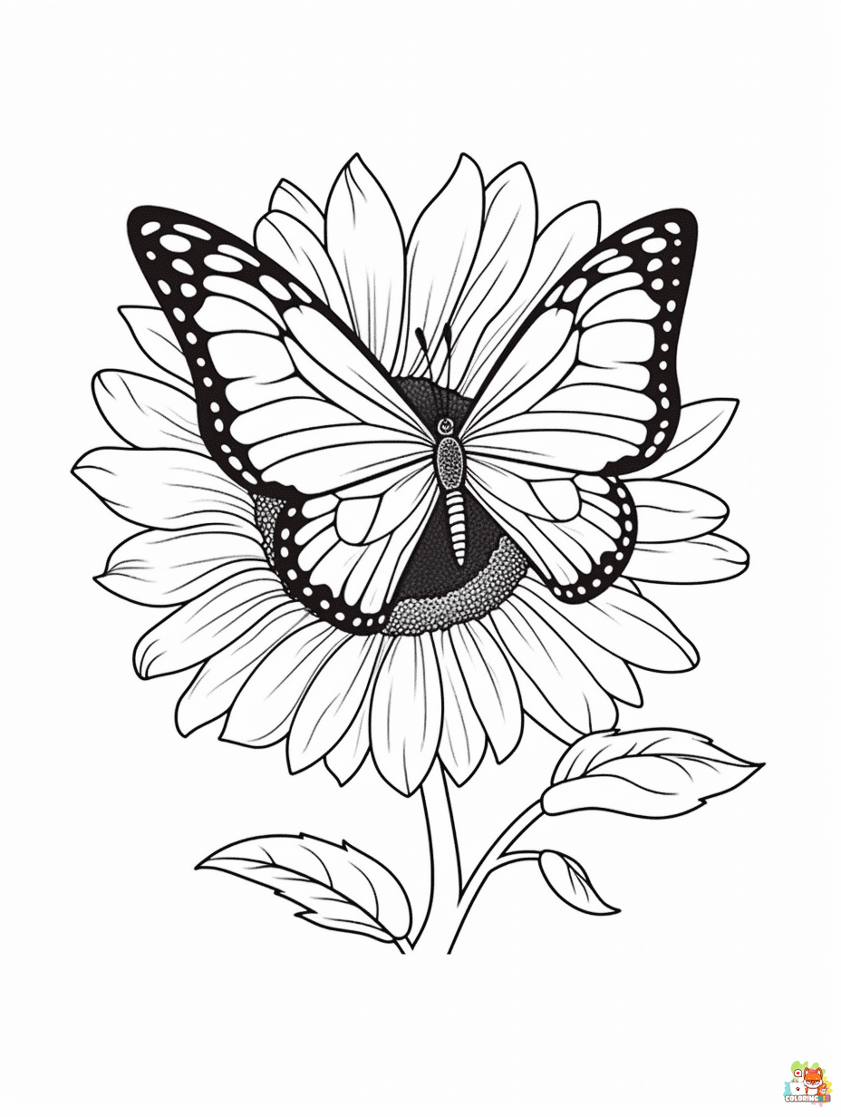 Free Sunflower and Butterfly Coloring Pages 1