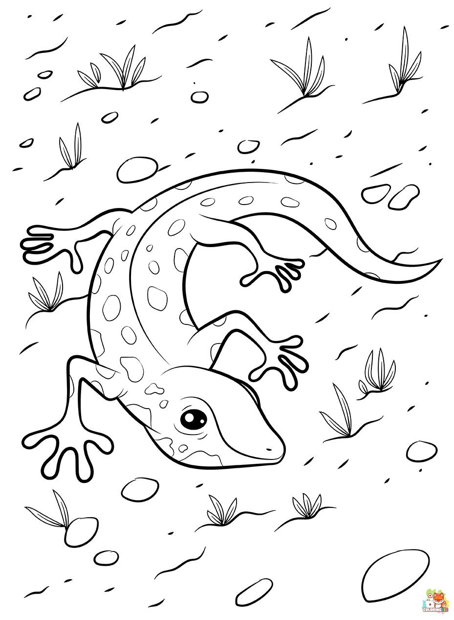 Lizard Coloring Pages 6