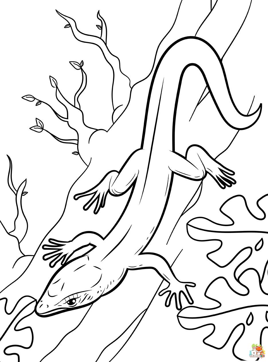 Lizard coloring pages 1