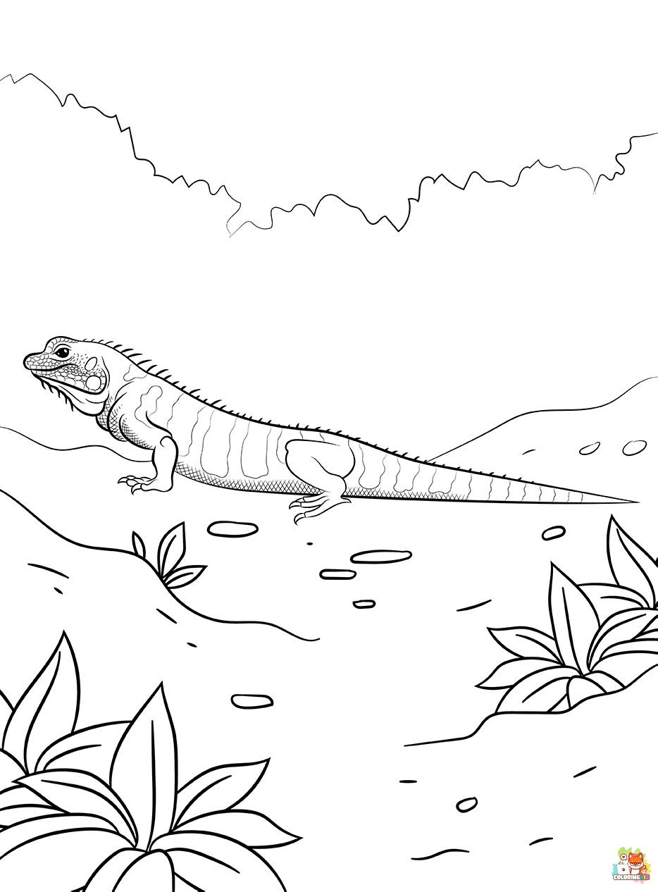 Lizard coloring pages 10
