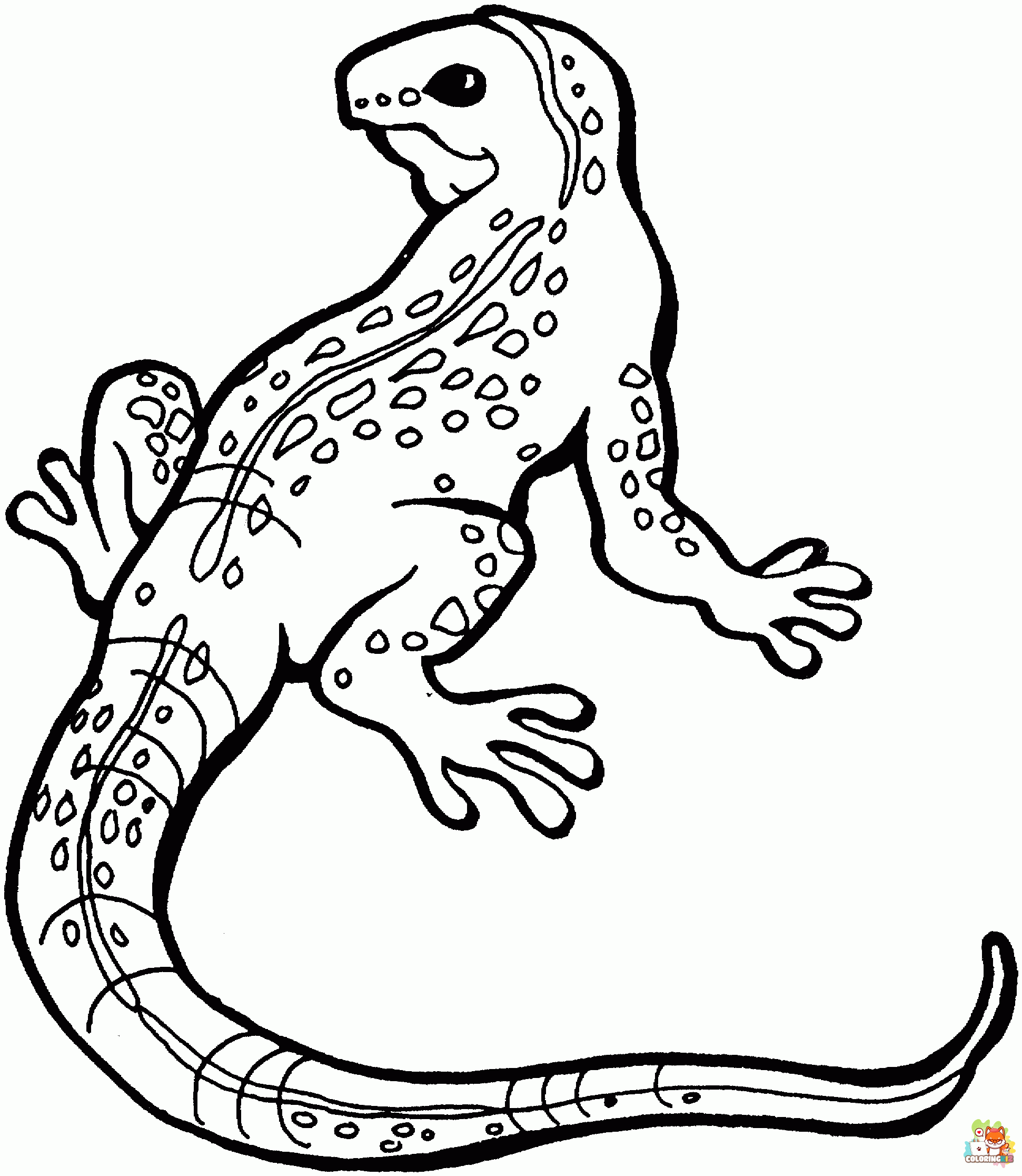 Lizard coloring pages free
