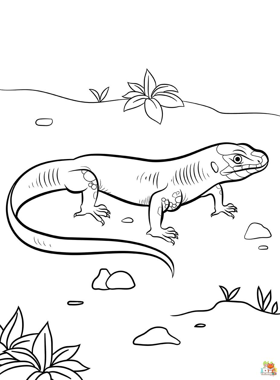 Lizard coloring pages free