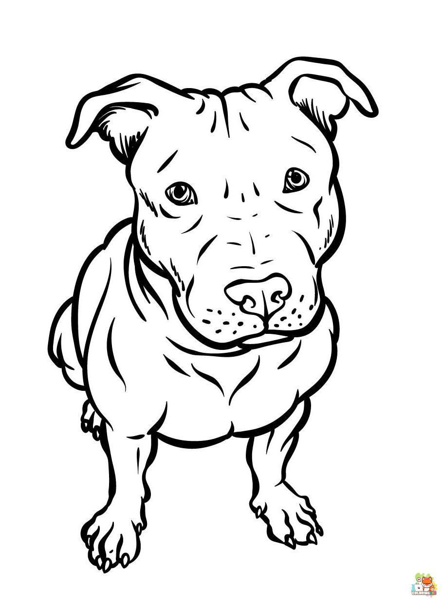 Pitbull Coloring Pages 1