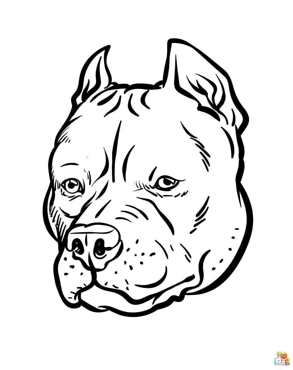 Pitbull Coloring Pages 10