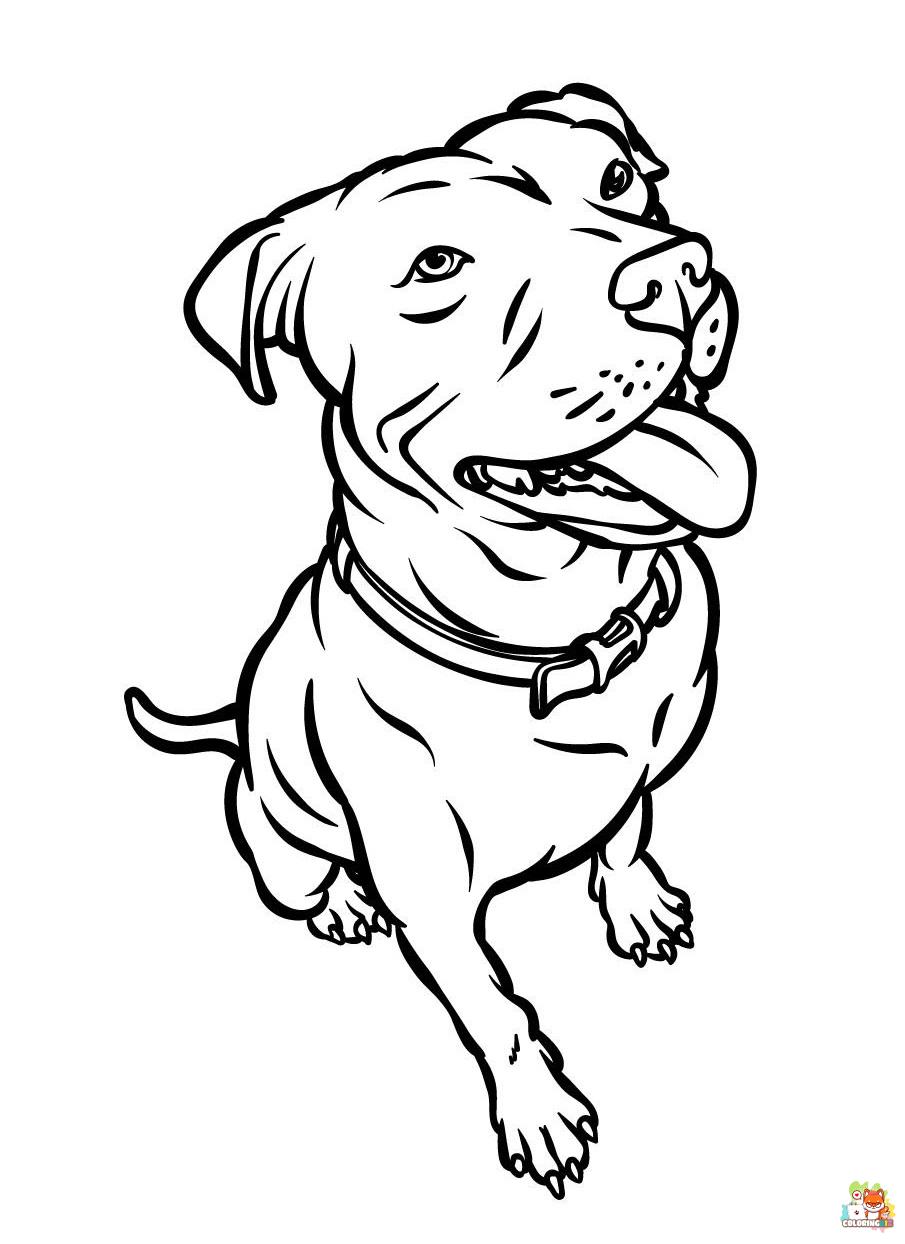Pitbull Coloring Pages 2