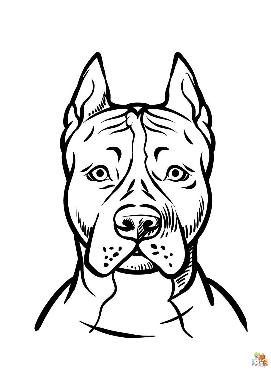 Pitbull Coloring Pages 3