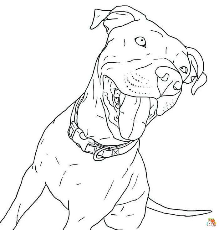 Pitbull Coloring Pages 5