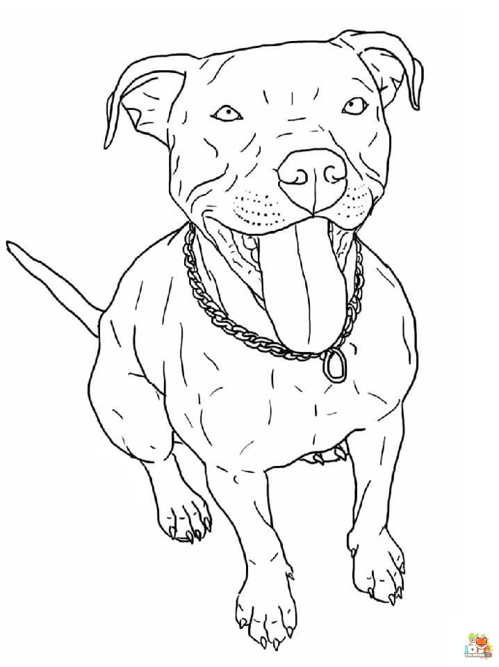Pitbull Coloring Pages 8