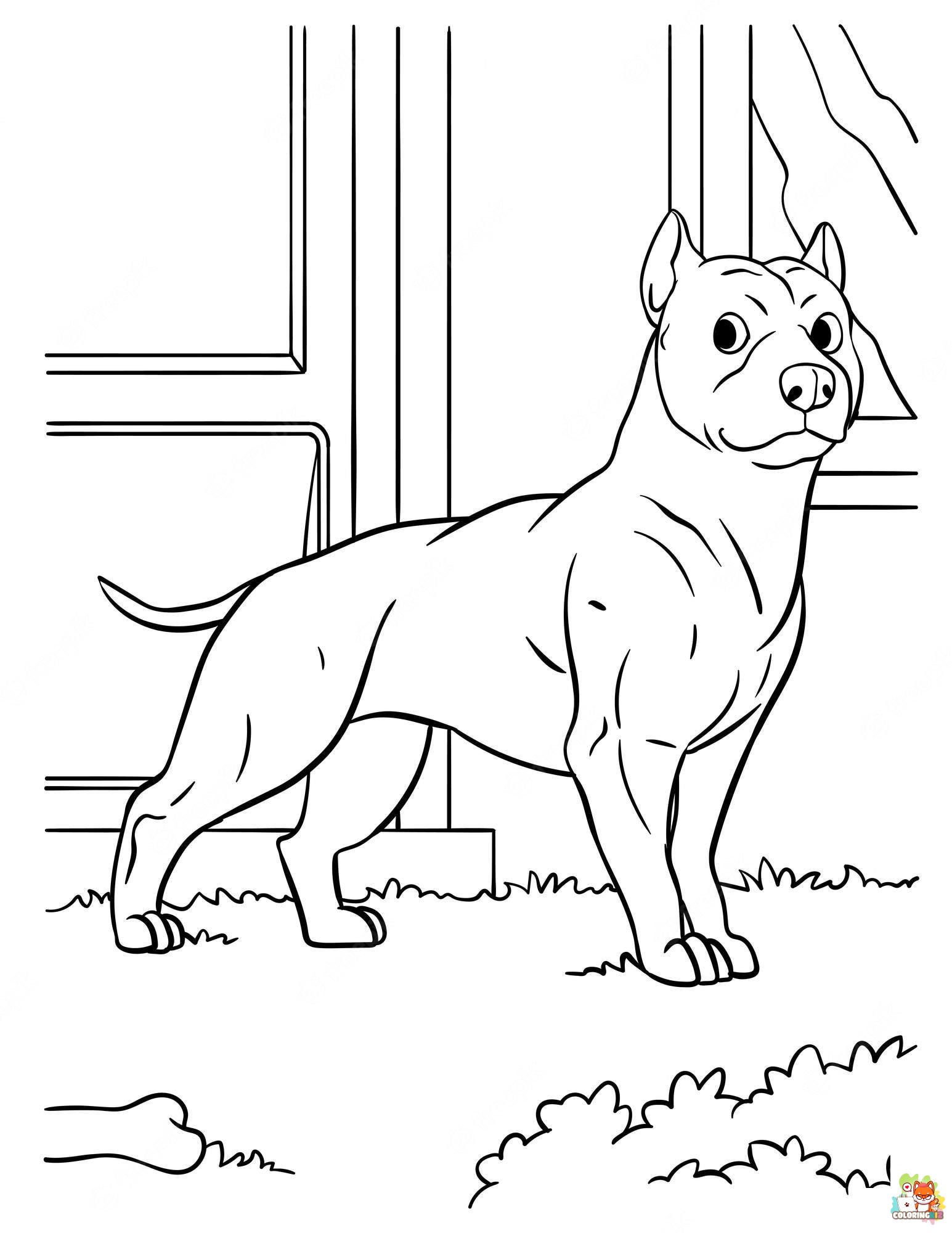 Pitbull Coloring Pages 9