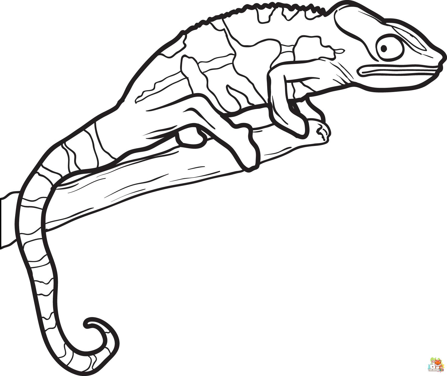Printable Lizard coloring sheets 1