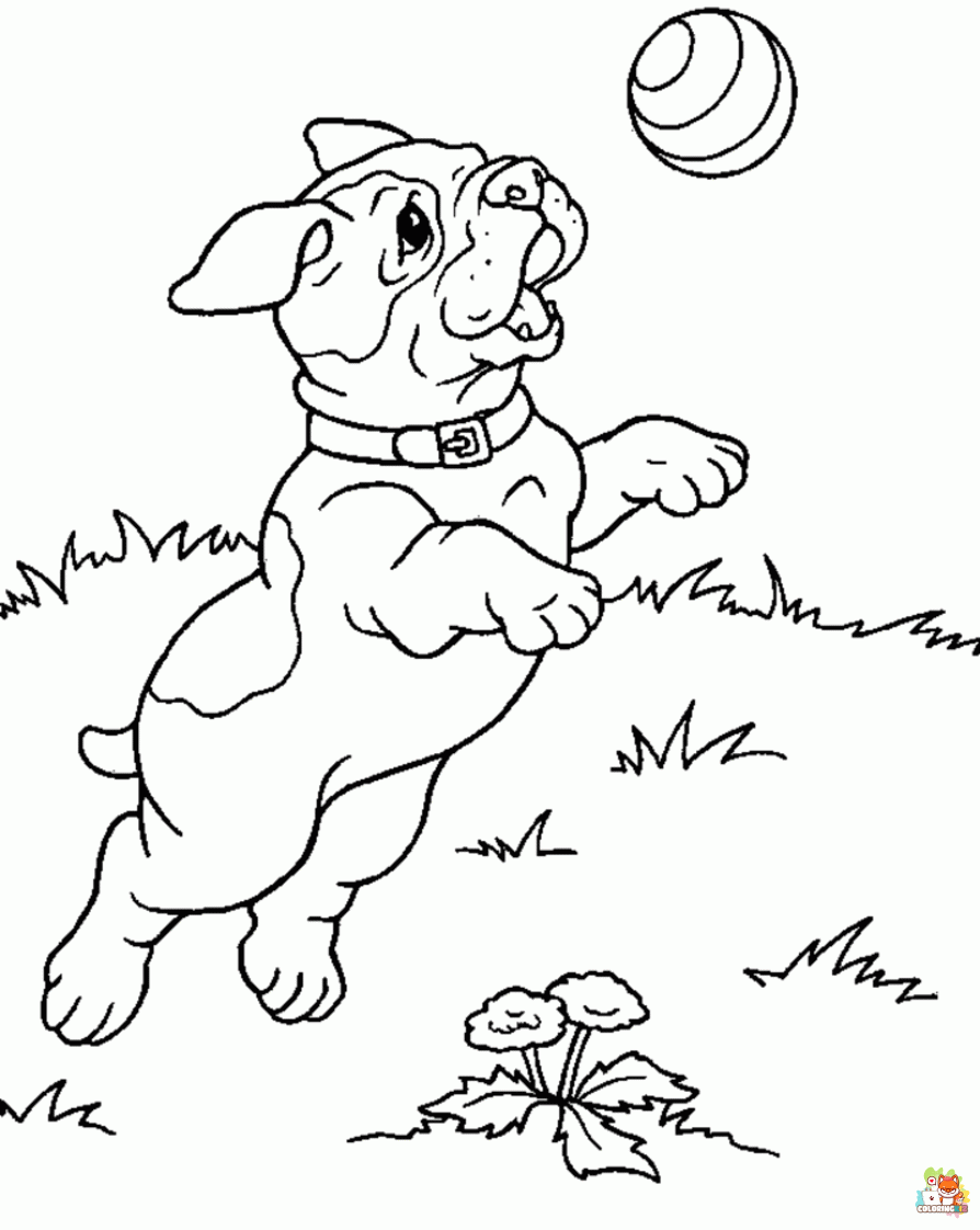 Pug Playing Ball Coloring Pages 1