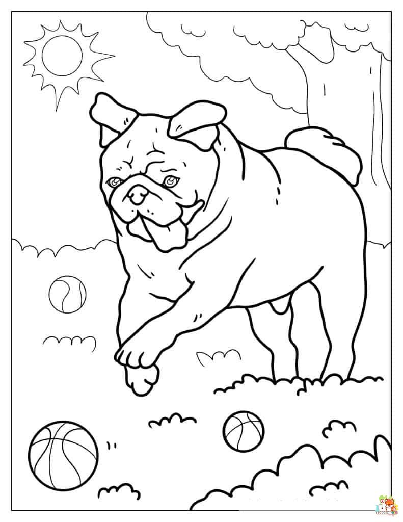 Pug Playing Ball Coloring Pages 2