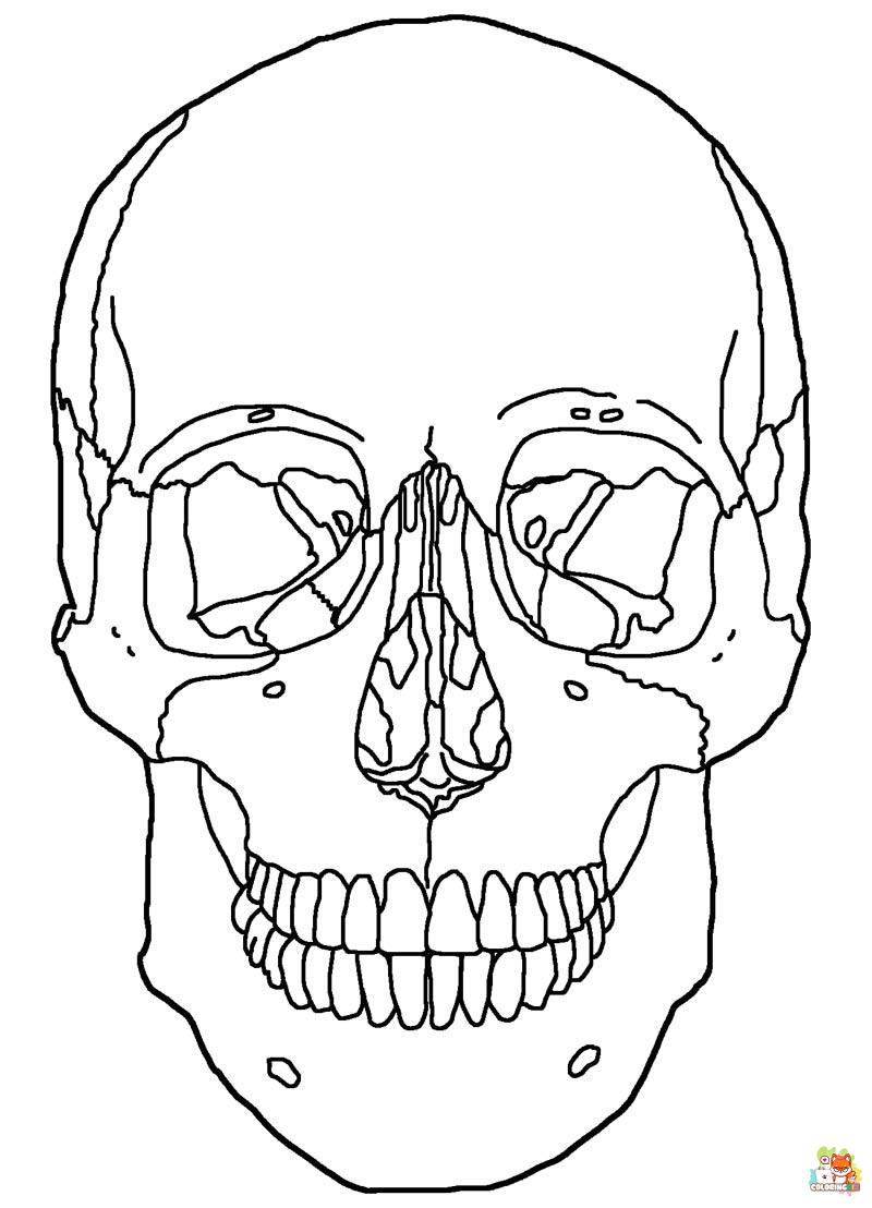 Skull Coloring Pages 6