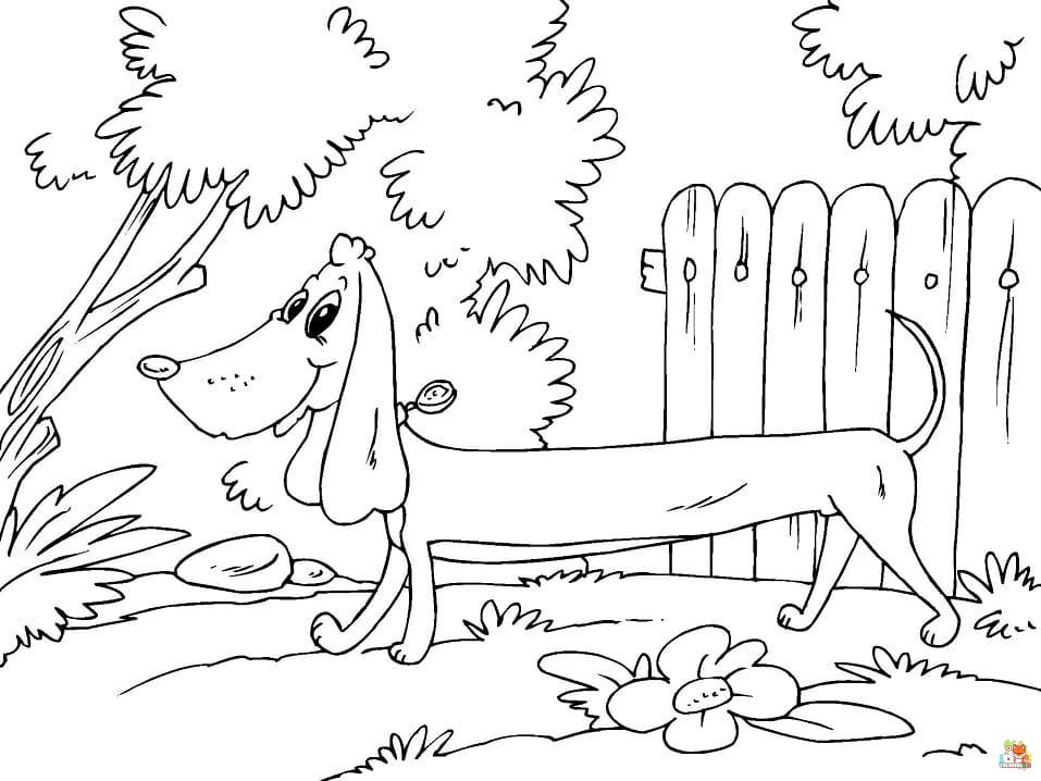 Smiling Dachshund Coloring Pages 4