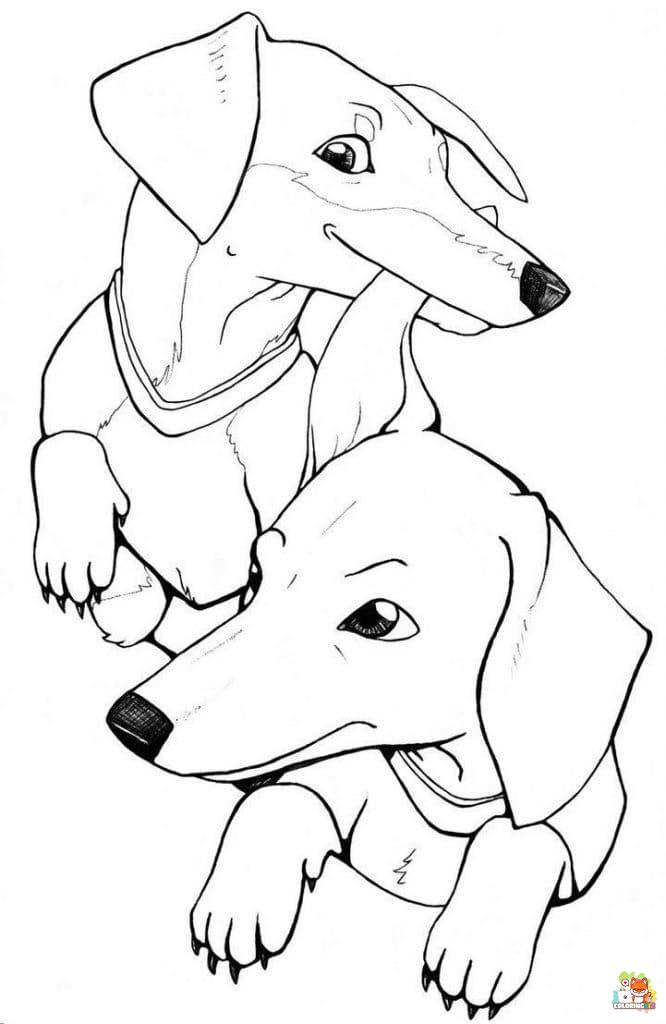 Smiling Dachshund Coloring Pages 5