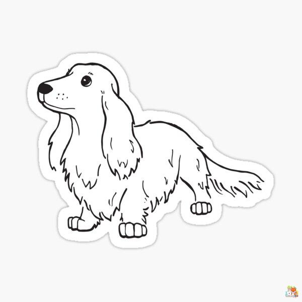 Wirehaired Dachshund Coloring Pages 4