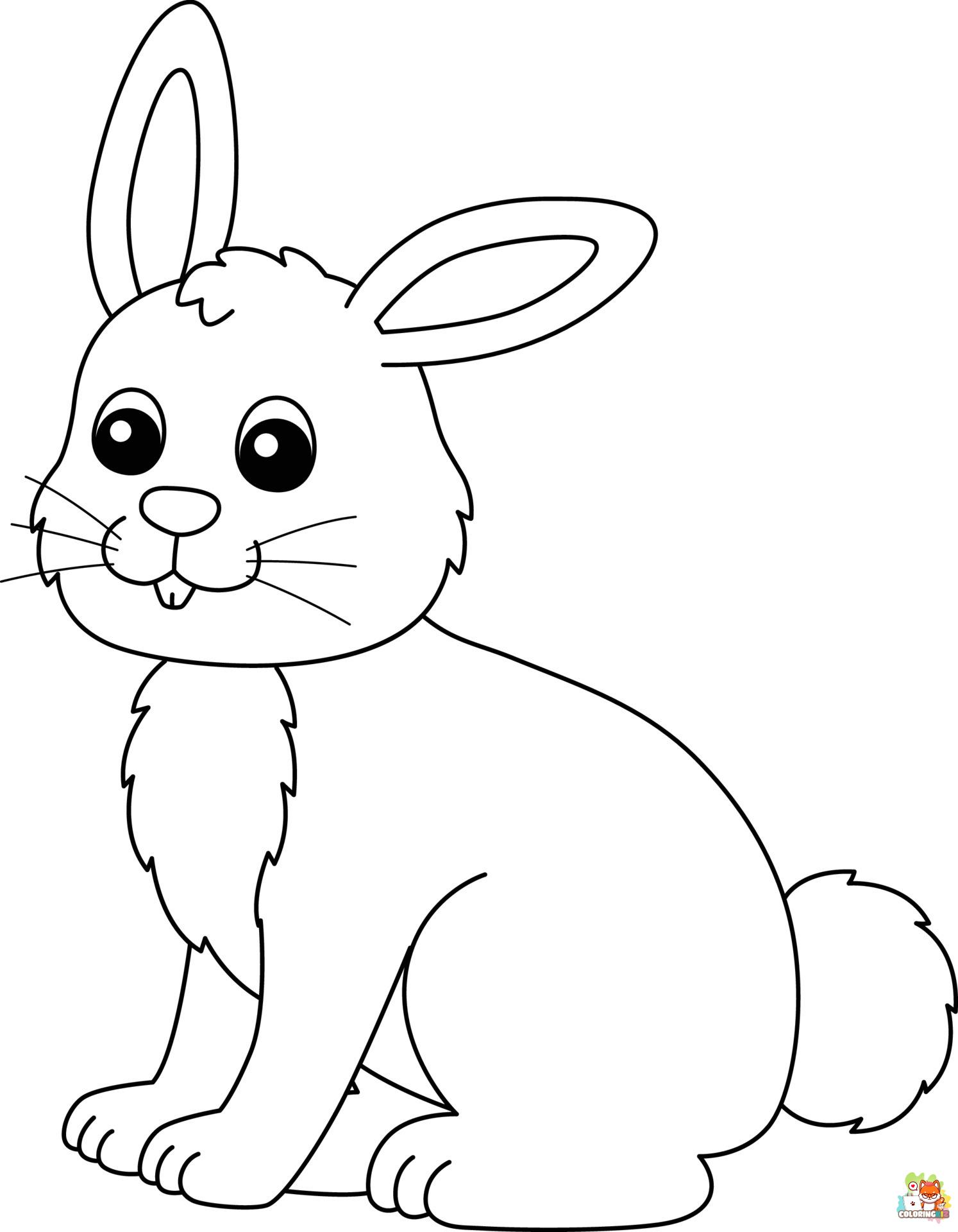 bunnies coloring pages 1