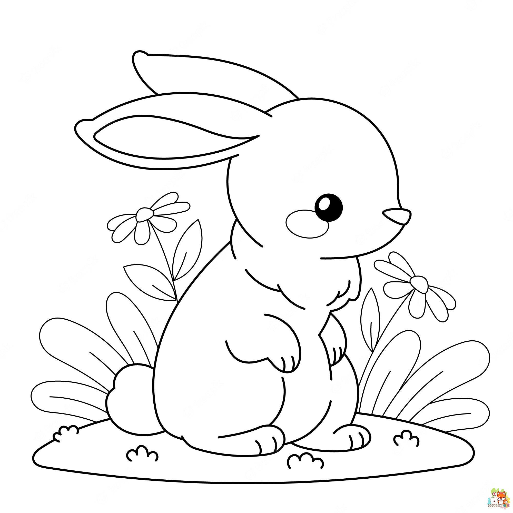 coloring pages bunny 1