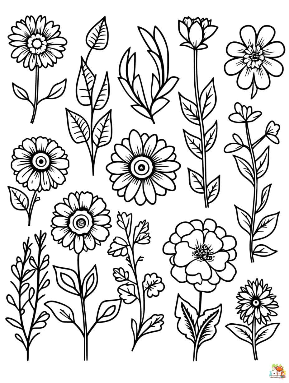 fall coloring pages easy