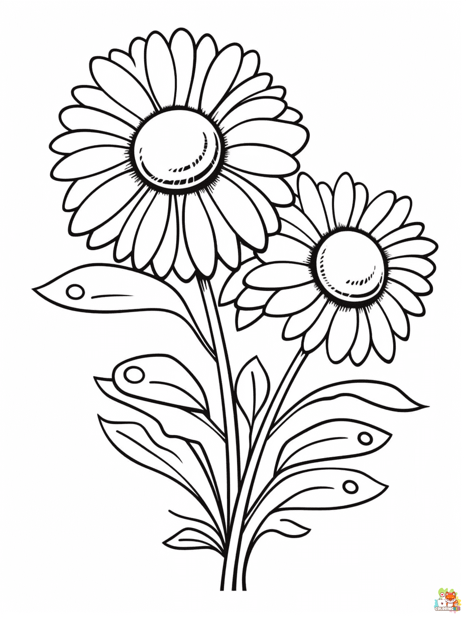 free summer flowers coloring pages