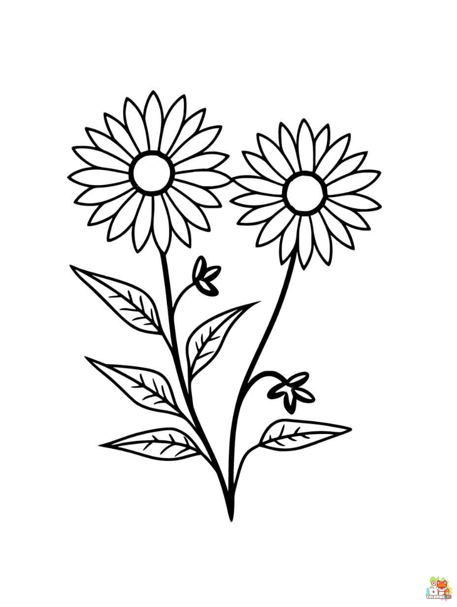 summer flowers coloring pages Easy