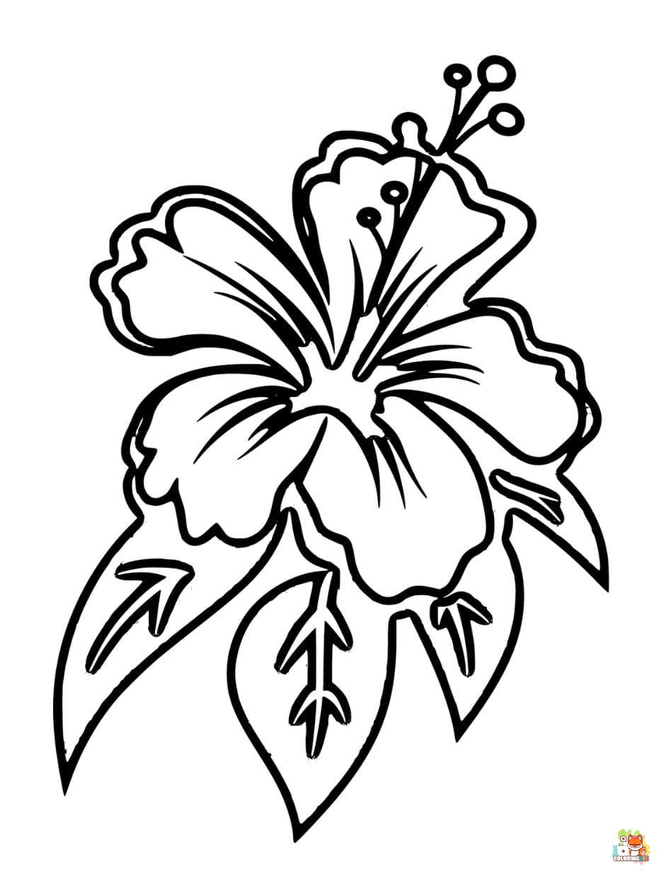 tropical flower coloring pages free